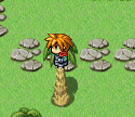BUG 2.png