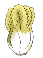 大白菜.png