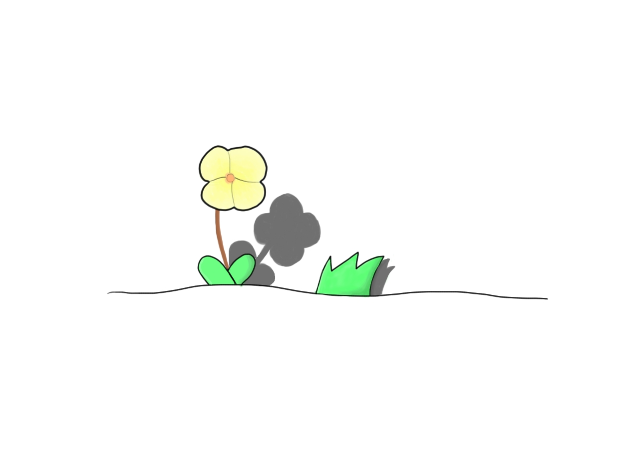 花.jpg