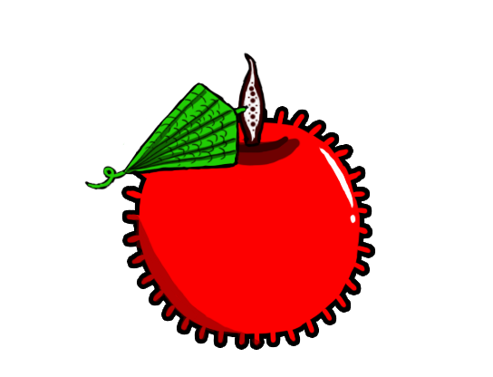 0016.png
