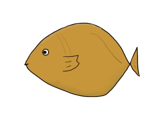 魚a_02.jpg
