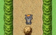 bug11.png