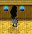 bug20.png