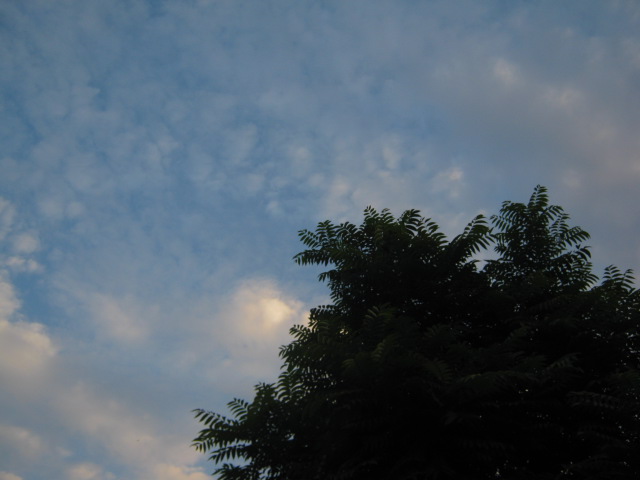 IMG_0839.jpg