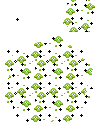 Flowers6.png