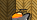 BUG3.png
