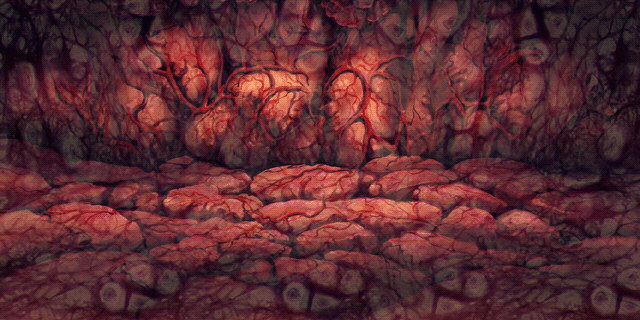 049-InnerBody01.jpg