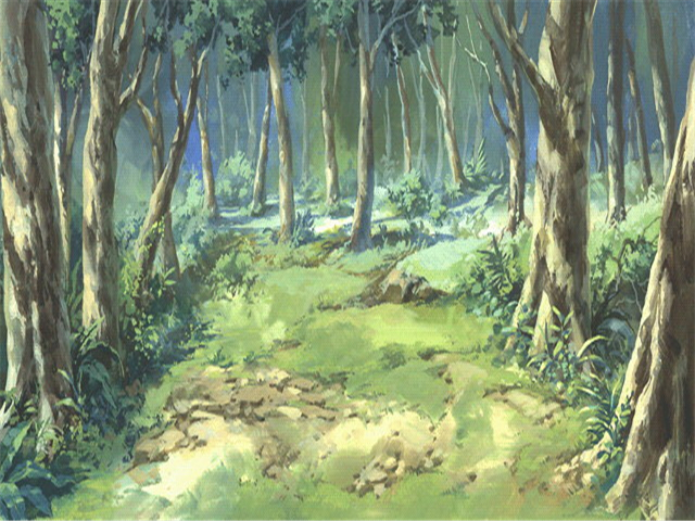 002-Woods01.jpg
