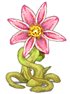 食人莲 (4).png