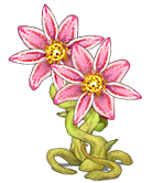 食人莲 (5).png