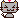 楠猫4.gif