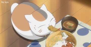 贪吃猫.gif