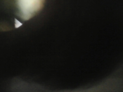 1379227256348.jpg