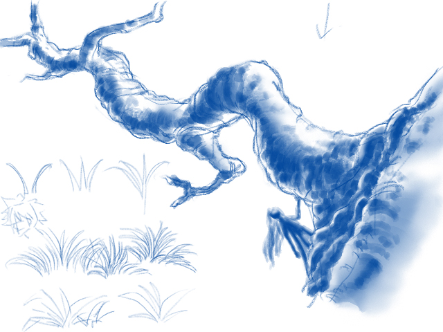 20130915_树03.jpg