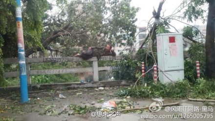 2013年度感动惠来人物。他秉持着敬岗爱业无私分享的高尚岗位精神，无论是狂风暴雨，还是烈日当头，他都兢兢 ...