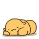 a14178a5tw1dzjxmyn52wg.gif