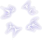 04.png