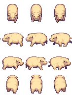$小猪.png