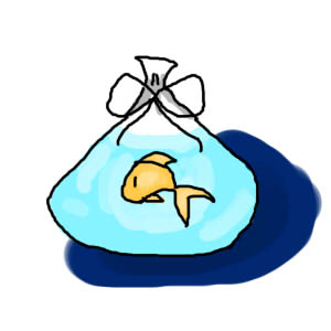 金鱼.jpg