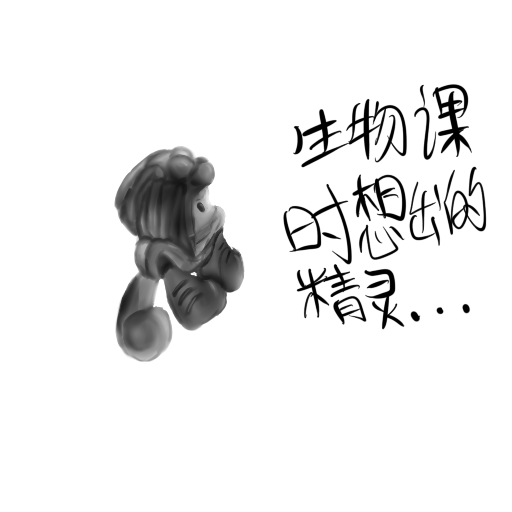 黑苞.png