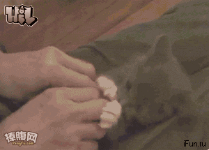 @GMGI{)LM}4Y%WZ)TK7B]ZW.gif