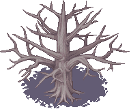 003-Forest01.png