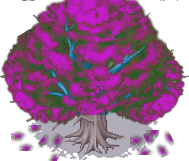 002-Woods01_副本.png