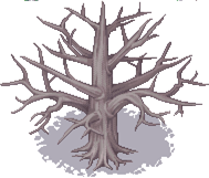 003-Forest01_副本.png