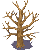 xp.png