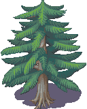 XP.png