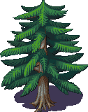 tree.png