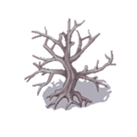 07_副本.png