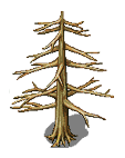 tree1.png