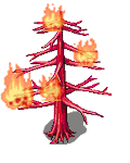 火烧树2.gif