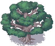 003-Forest01.png