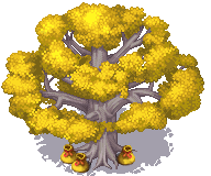 黄金树.png