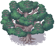 005-01_副本.png