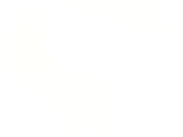 阳光2.png