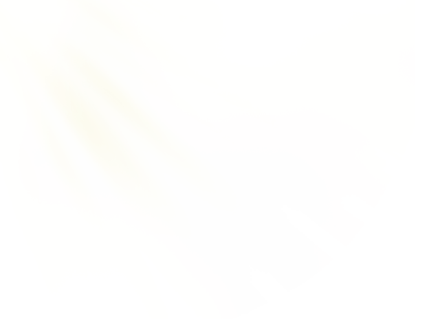 阳光1.png