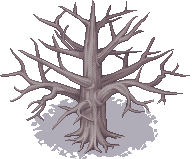 003-Forest01.png