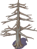 未标题-1.png