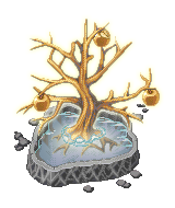 金苹果树.PNG