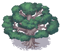 活動1.png