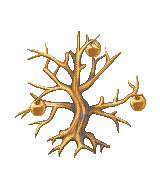 金苹果树ps1.PNG