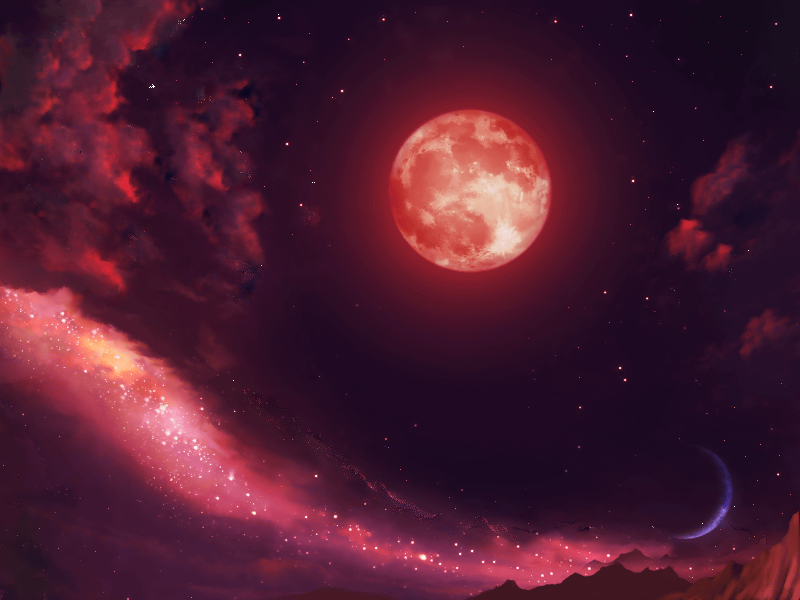 004527c3m3z3h88hn8kg8b.png