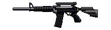 11.gif