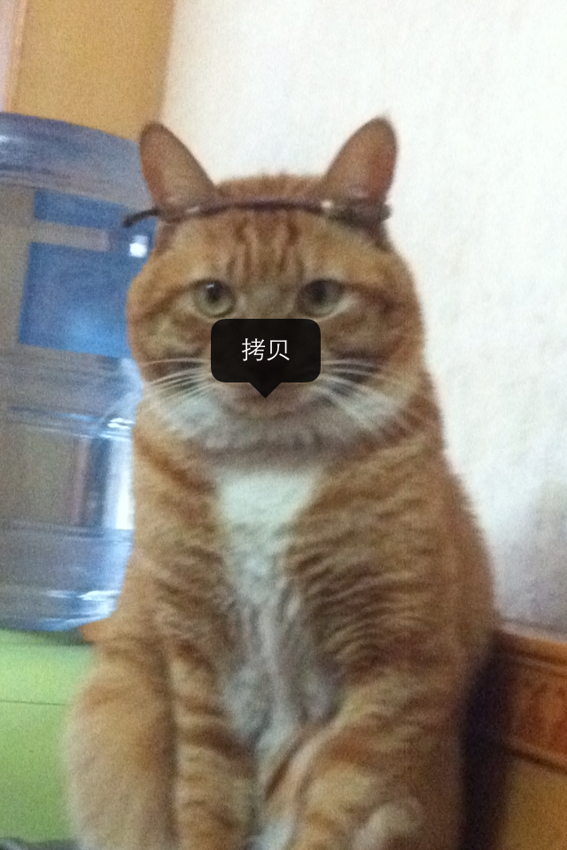 我叫咪哥我为自己带眼
