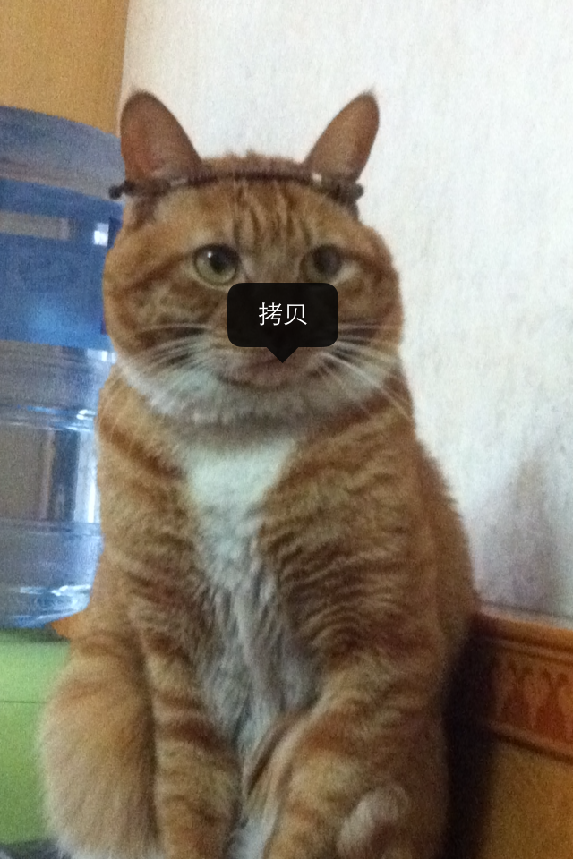 我是传说
