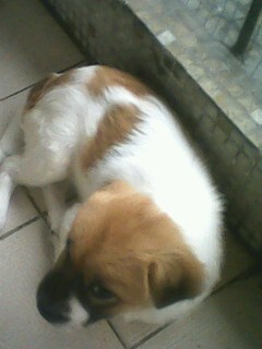 IMG1132A.jpg