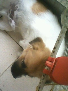 IMG1134A.jpg
